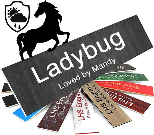 Personalized Horse Stall Name Plates, 2x8 Horse Stall Signs with Adhesive, All Weather UV Protected, Ash Plastic White Letters - Made in USA - N1