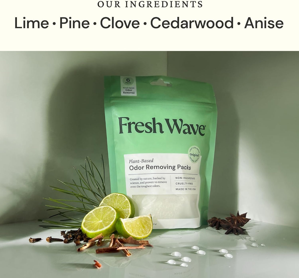 Fresh Wave Original Odor Eliminating & Deodorizing Packs - Bag of 6 & Fresh Pod Case - Safer Odor Relief for Small Spaces, Natural Plant-Based Odor Eliminator, Odor Absorbers for Home