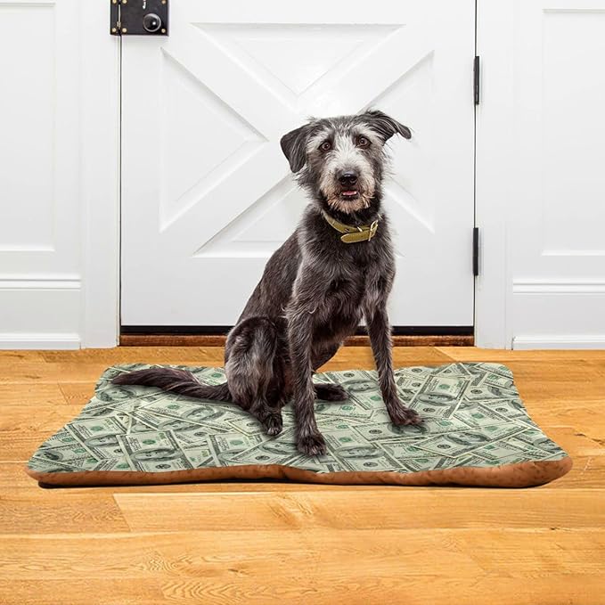 Money Print Pet Bed Cute Dog Bed Mat Absorbing Non Slip Pad Pet Sleeping Mat for Small, Medium, and Large Dogs Puppy Cat 24 in x 18 in