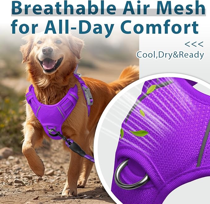 BARKBAY Dog Harness No Pull with ID Tag Pocket - Heavy Duty, Reflective, Easy Control for Large Dogs(Purple,L)