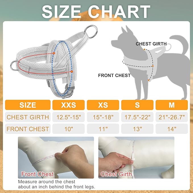 BEAUTYZOO No Pull Dog Harness Medium Sized Dog, Breathable Mesh Padded Dog Harness and Leash Set, Adjustable Reflective Escape Proof Dog Vest Harnessss Quick Fit for Training Walking, Purple M