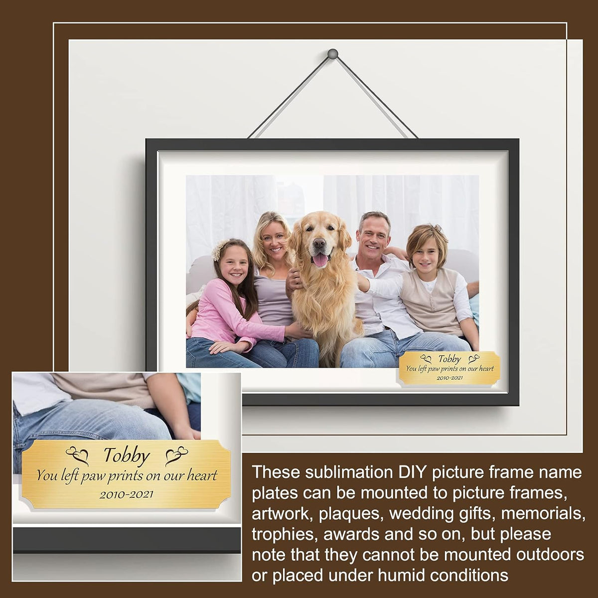 Skiennix Personalized Name Plates - DIY Engraved Brush Gold Aluminum Frame - Custom Dog Memories Art Tag | 3 x 1 Inch (Set of 3)