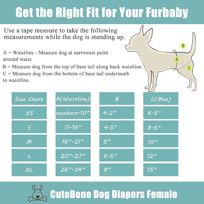 CuteBone Dog Diapers Female Washable Small Medium Large 3 Pack Reusable Doggie Diapers Puppy Period Pants for Doggy Heat Cycle Peeing D54L