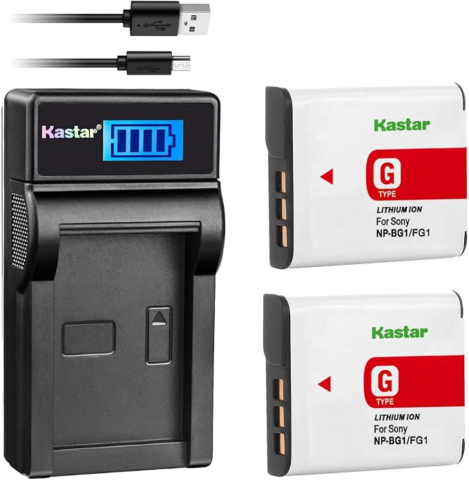 Kastar Battery & LCD Slim USB Charger