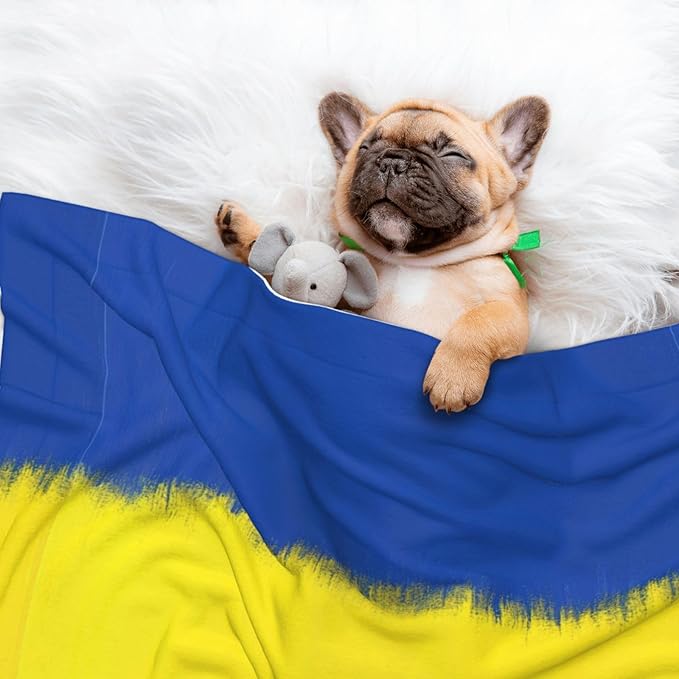 Pet Blanket for Couches and Beds, Abstract Artistic Ukrainian Flag, Reversible Double Sided Plush Design with Soft Bumpy Texture and Smooth Surface, Furniture Protector