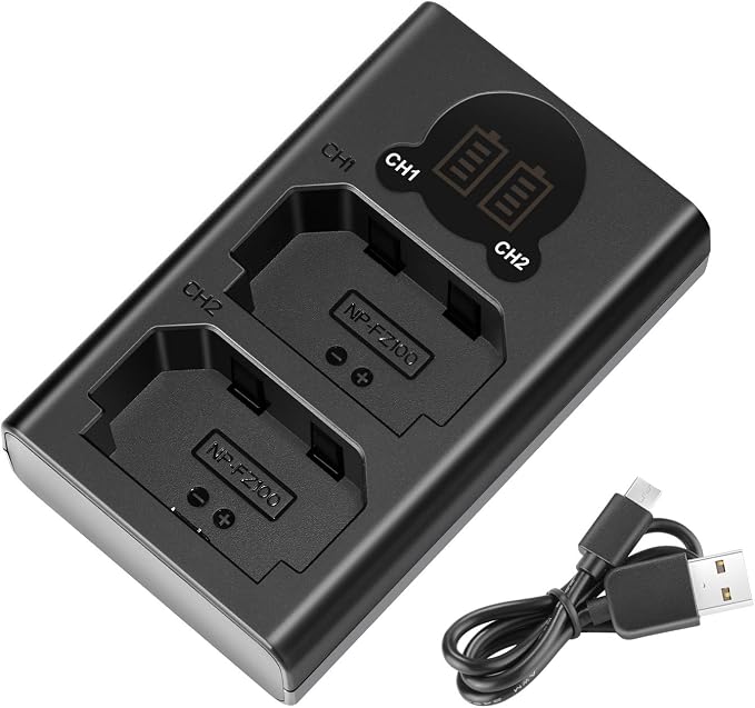 Neewer Dual USB Charger for Sony NP-FZ100 Battery, Compatible