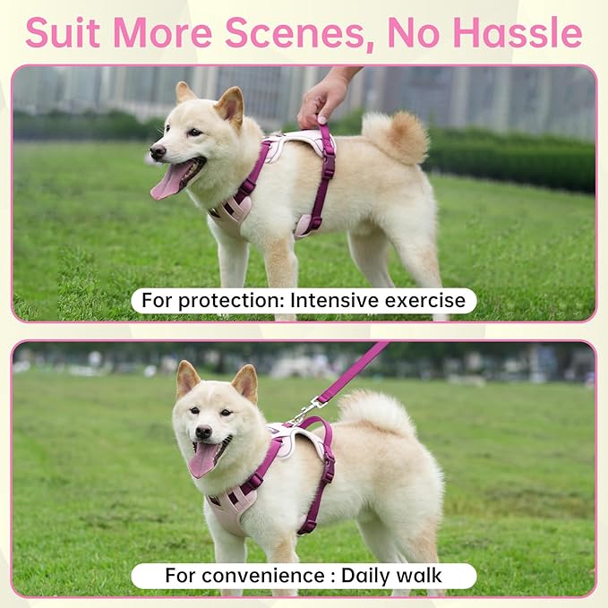 3 in 1 No Pull Dog Harness Leash and Collar Set, Soft Adjustable Dogs Vest Reflective and Comfortable Handle Pink X-Large