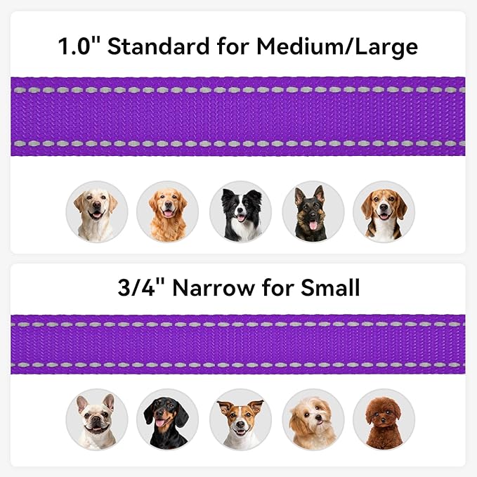 Joytale Dog Leash, 6 FT Double-Sided Reflective, Padded Handle Nylon Heavy Duty Leashes for Medium & Large Dogs Walking, Purple