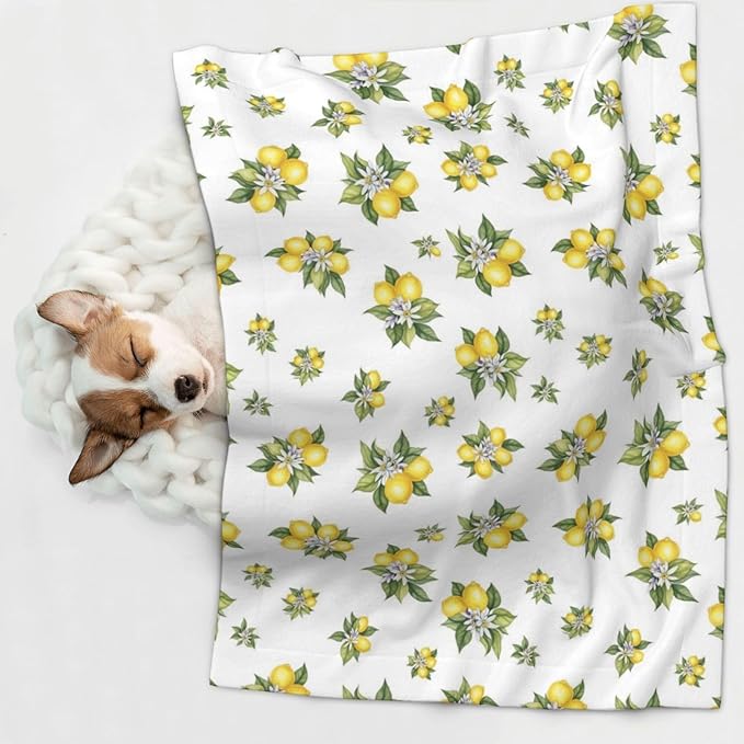 Dog and Cat Blanket in One, Yellow Lemons Trees With Green Leaves And White Flower Summer Plant, Double Sided Plush Throw with Raised Dot Pattern on One Side and Flat Velvet on Other for Variety