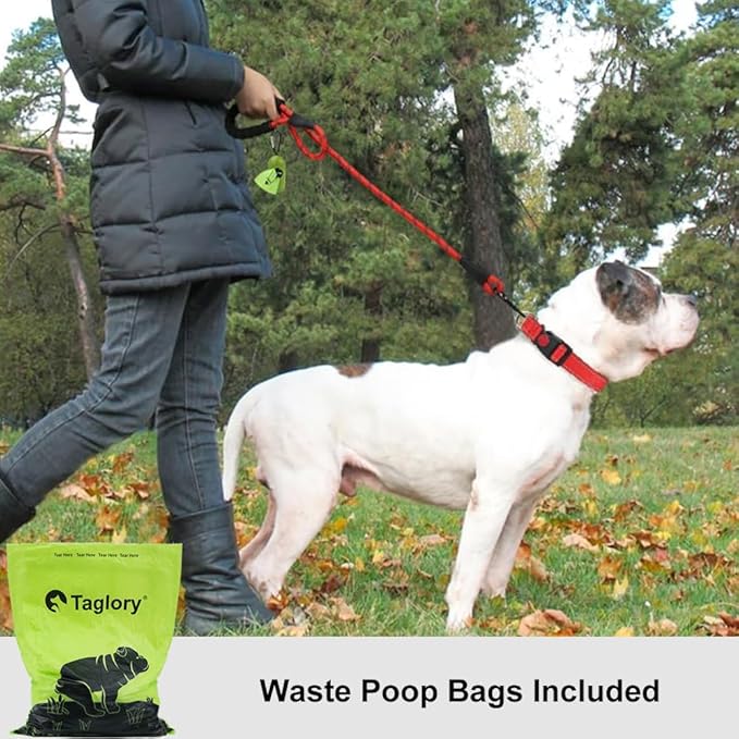 Taglory Rope Dog Leash 5 FT with Comfortable Padded Handle, Highly Reflective Threads Leash and Anti-Tangle Clip for Walking Medium Large Dogs, 1/2 inch, Red