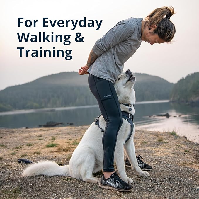 Ruffwear, Front Range Dog Harness, Reflective Soft Padded Everyday Harness with Dual Leash Clips, Adjustable and Lightweight Fit for Training or Walking for All Dogs, Spring Mountains, Medium