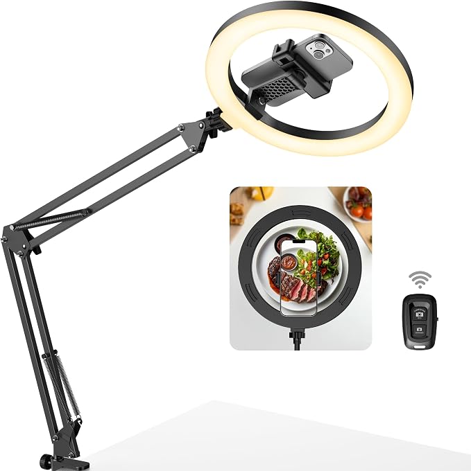 InnoGear Overhead Phone Mount
