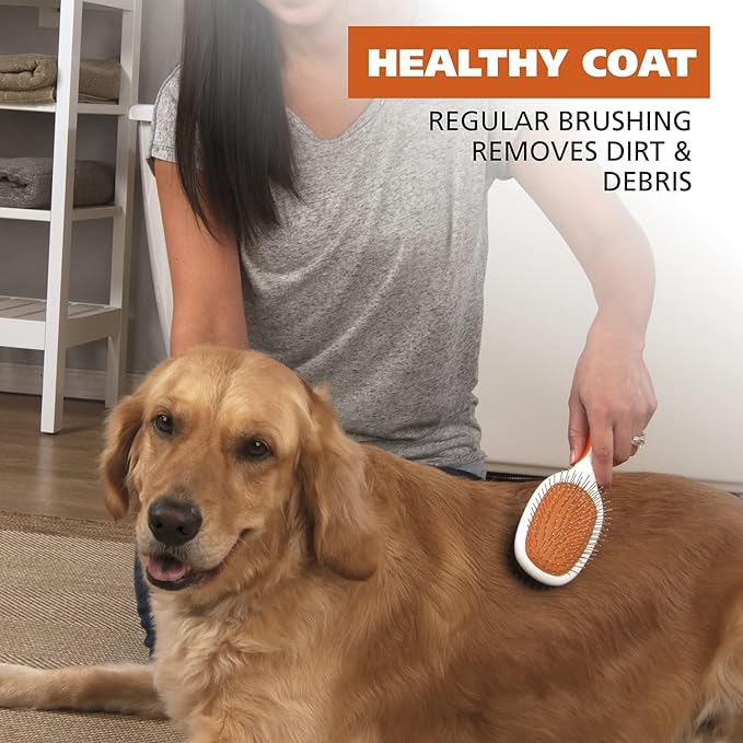 Wahl Premium Pet Double Sided Pin Bristle Brush with Patented Stacked Pin Design for Dogs - Removes Loose Hair & Stimulates the Skin while Creating a Soft Coat Shine - Model 858501
