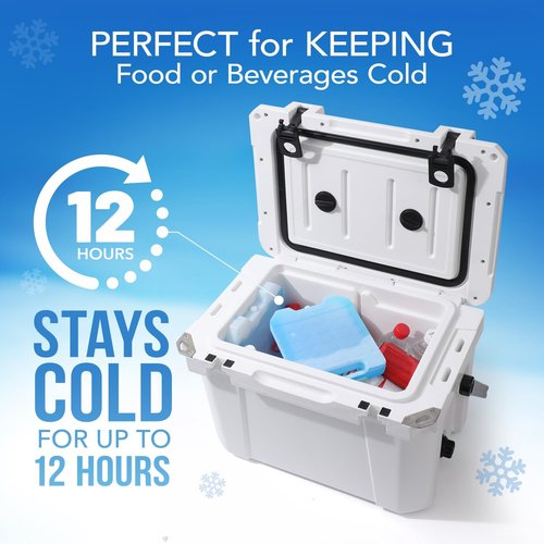 Everlasting Ice RX Large Reusable Ice Packs - BPA Free Cooler Packs with Handle (4 Pack) for Extended Cooling | Perfect for Camping, Fishing, Hiking, Beach