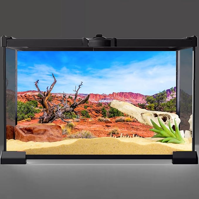 AWERT 72x18 inches Reptile Habitat Background Blue Sky Oasis Orange Desert Terrarium Background Durable Polyester Background