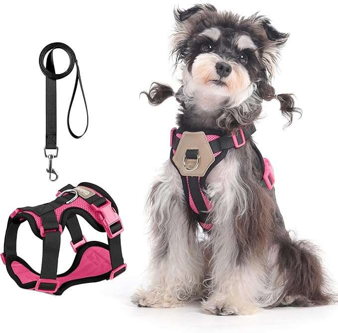 Small Dog Harness and Leash Set, Breathable Mesh Puppy Harness, Adjustable Dog Harness for Small Medium Large Dogs, No-Pull Pet Harness for Daily Walking (Hotpink, Small)