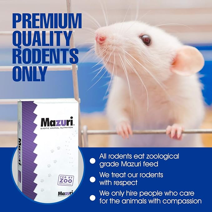 MiceDirect EST. 2003 25 Frozen Rat Jumbo Feeders Snake Food for Adult Red Tail Boas (9-11 in)(6875 Grams Min)