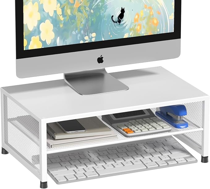 ECOLOVI 2-Tier Computer Monitor Stand Riser, Desk Organizer
