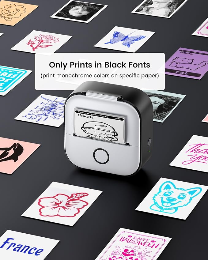 Memoking Mini Printer