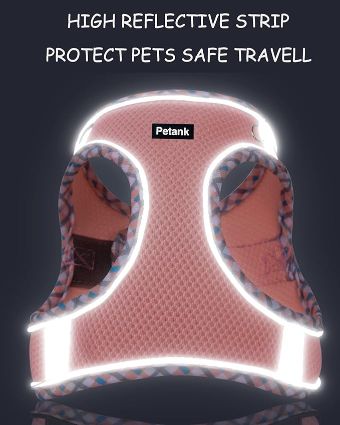 Petank Dog Harness for Small Medium Dogs No Pull, Puppy Harness and Leash Set, Step in Dog Harness for Walking, Running, Training, Small Dog Vest (Pink, XXS)