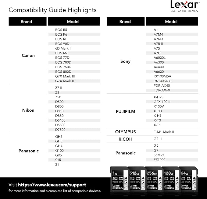 Lexar 128GB Professional Silver SD Card,