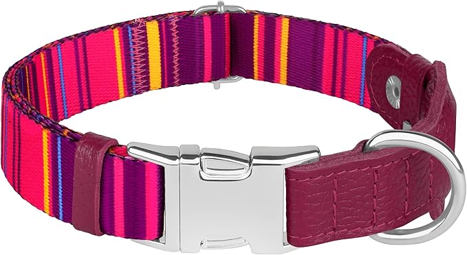 AirTag Dog Collar for Small Medium Large Breed - Adjustable Cute Pattern Dog Collar with Airtag Holder - Soft Leather Tracker GPS Apple Air Tag Pet Collars (X-Large, 20"-25" Neck Fit, Striped)