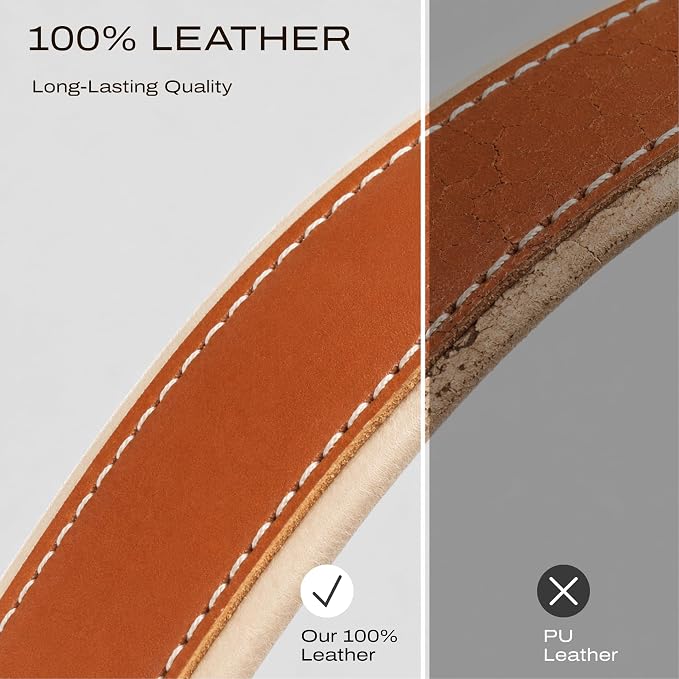 C Coiro Classic Leather Camera Strap