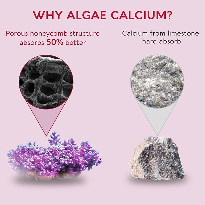 (2 Pack) Sugar Free Methylated Multivitamin for Women Gummies with Calcium, D3 K2, Inositol, Folate, Biotin, Iron, Vitamin A, C, E, B Complex - Multi Vitamins & Minerals - Energy, Immune, Bone - Vegan