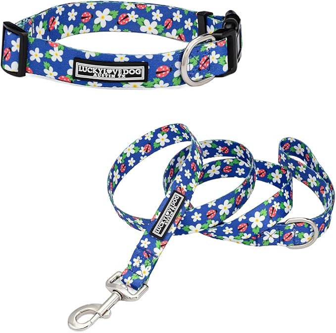 Lucky Love Dog - Easy Click Buckle Dog Collar with Leash Set Combo, Durable & Comfortable for Male & Female Dogs, Pet Collar for Small Dogs, Secure Fit - Lilian Combo, XS