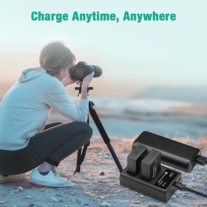 FirstPower DMW-BLC12 DMW-BLC12PP Battery and Dual Slot Charger