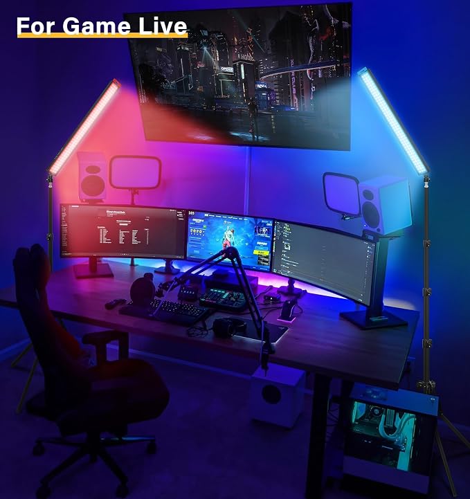 2 Pack LED Video Light Stick