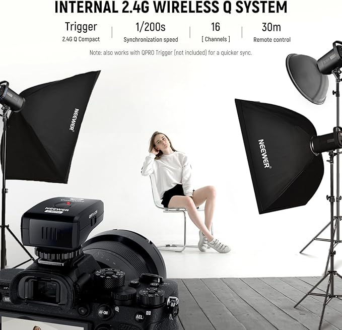 NEEWER 600Ws Studio Monolight Flash Light Kit: 2 Pack S101-300W PRO 5600K