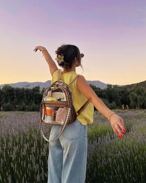 FADEON Clear Small Backpack Purse - Designer Transparent Shoulder Handbag | Stadium Approved PVC Mini Bag