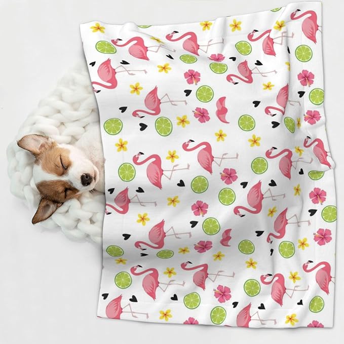 Reversible Plush Dot Pet Blanket for Dogs and Cats, Cute Pink Flamingo, Ultra Soft Two Sided Design with Warm Fuzzy Side and Smooth Side for Comfort