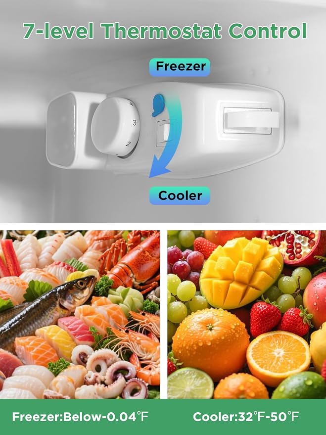 F.W.WOOLWORTHS 4.0 Cu.Ft Refrigerator with Freezer | Compact Fridge with 2 Doors for Office, Kitchen, Dorm and Bedroom, 7 Level Temp Adjustable Thermostat, Black