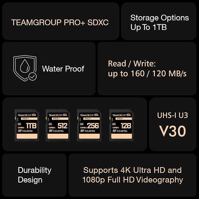 TEAMGROUP PRO 256GB UHS-I U3 A2 V30 4K UHD Read/Write Speed up to 160/120MB/s