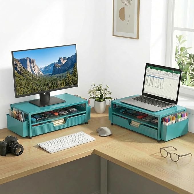 ECOLOVI Desk Organizer and Accessories, 2-Tier Computer Monitor Stand Rise