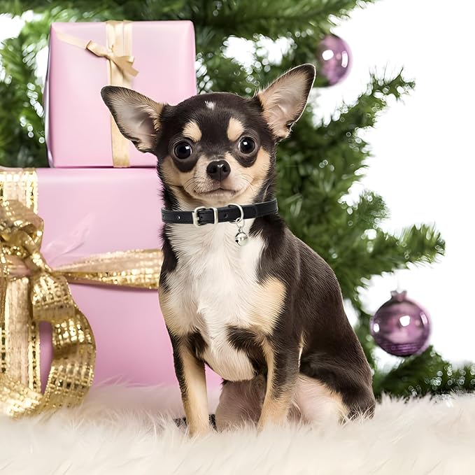 White Puppy Collar with Bell, Soft Pu Leather Cat Collars Adjustable Buckle for XXS XS Extra Small Medium Tiny Female Male Boys Girls Pets Dogs Kitten Teacup Yorkie S