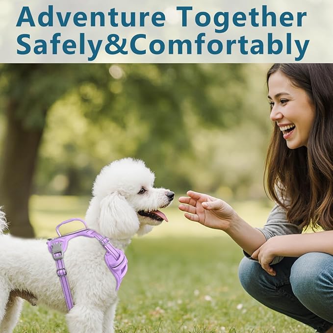 BARKBAY Dog Harness No Pull Oxford with ID Tag Pocket - Heavy Duty, Reflective, Easy Control for Large Dogs(Violet Purple Oxford,S)