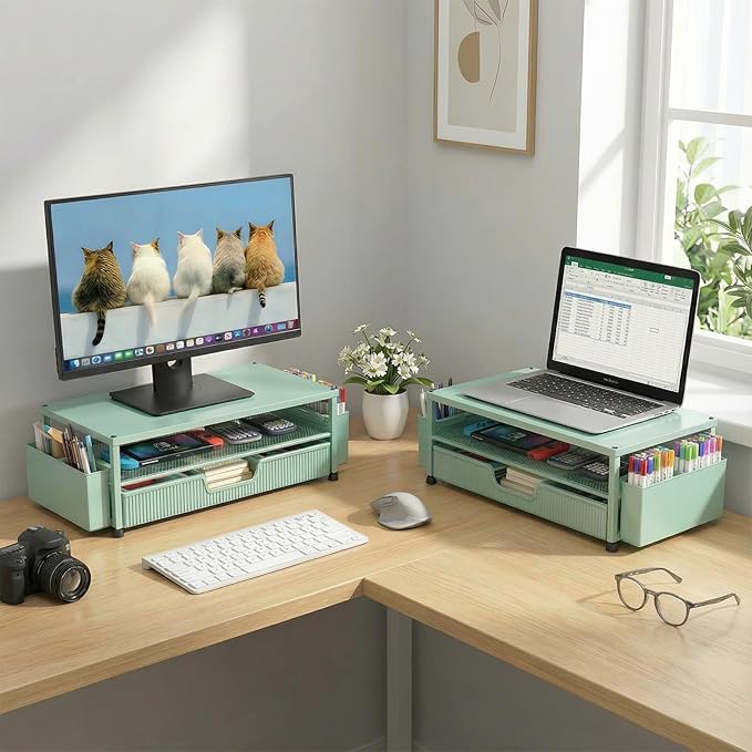 ECOLOVI Desk Organizer and Accessories, 2-Tier Computer Monitor Stand Rise