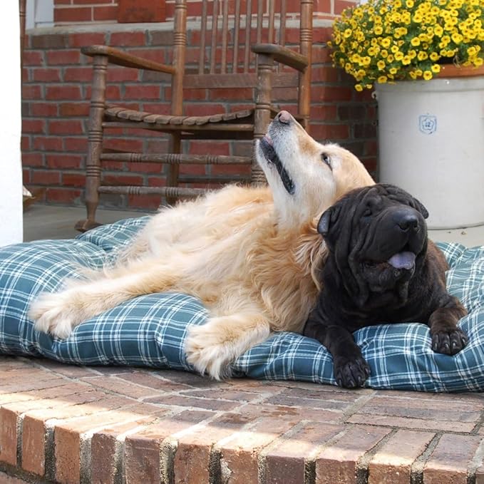 Carolina Pet Blue Plaid Shebang Rectangle Indoor/Outdoor Bed L
