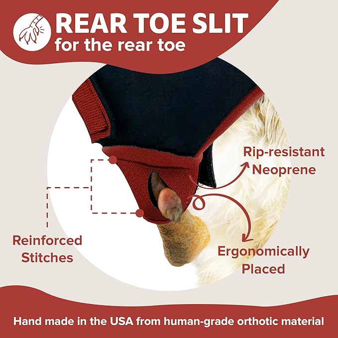 Chicken Shoes for Injured Feet – Protective Neoprene Footwear for Chicken, Open-Toe Design for Bumblefoot Relief, Made in USA - Large, 4" Max. Inside Width, Red