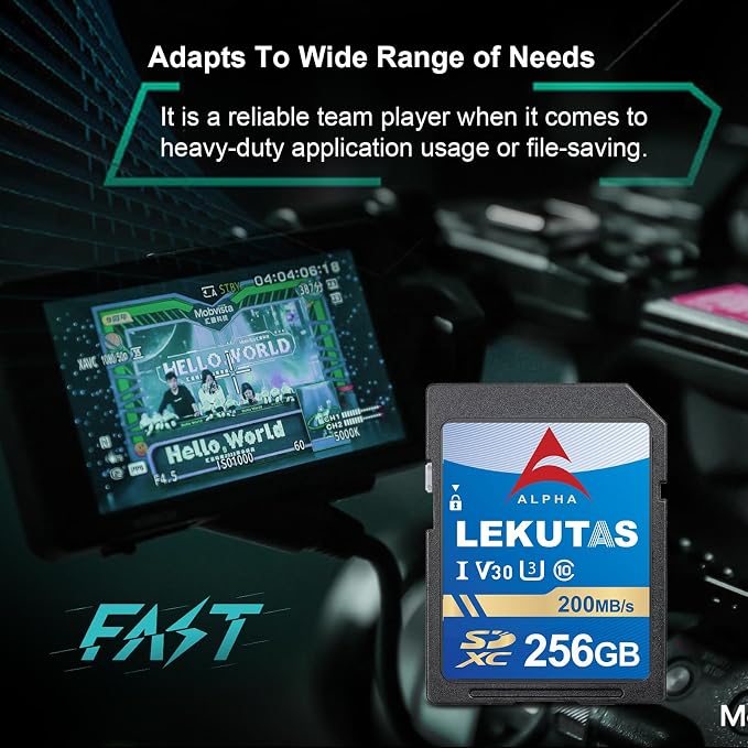 256GB SDXC UHS-I Memory Card