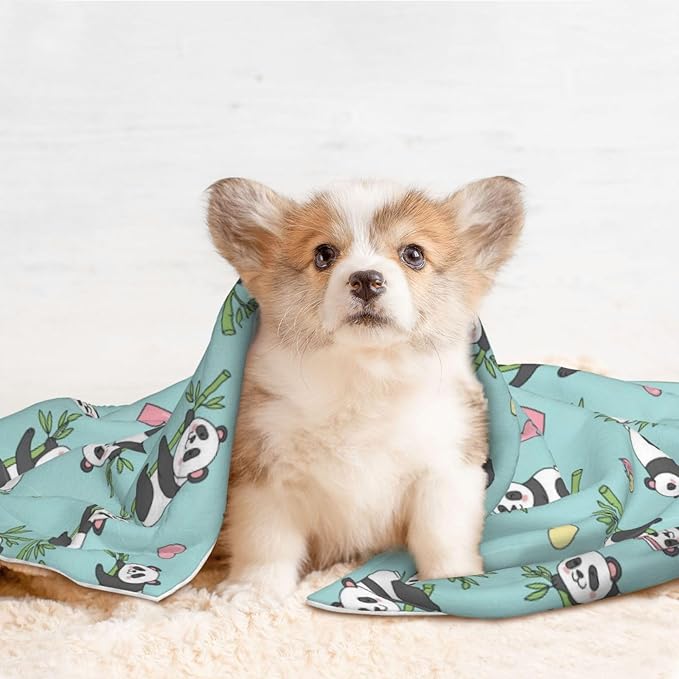 Pet Blanket for Couches and Beds, Chinese Cute Panda, Reversible Double Sided Plush Design with Soft Bumpy Texture and Smooth Surface, Furniture Protector
