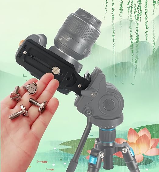 4 Pack Stainless Steel D-Ring 1/4-20 Tripod Screw Adapter, Camera Fixing Screws