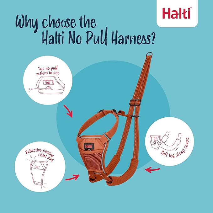 Halti No Pull Harness - Stop Your Dog Pulling on The Leash. Adjustable, Lightweight and Easy to Use. Reflective Dog Training Harness for Small Dogs (Size S, Burnt Orange)