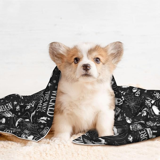Reversible Plush Dot Pet Blanket, Halloween Witchcraft Witch Pumpkin Spider Web Bat Raven Magic Board Spirit Skull Skeleton Vintage Black, Ultra Soft Two Sided Throw for Dogs Cats Home Use Comfort