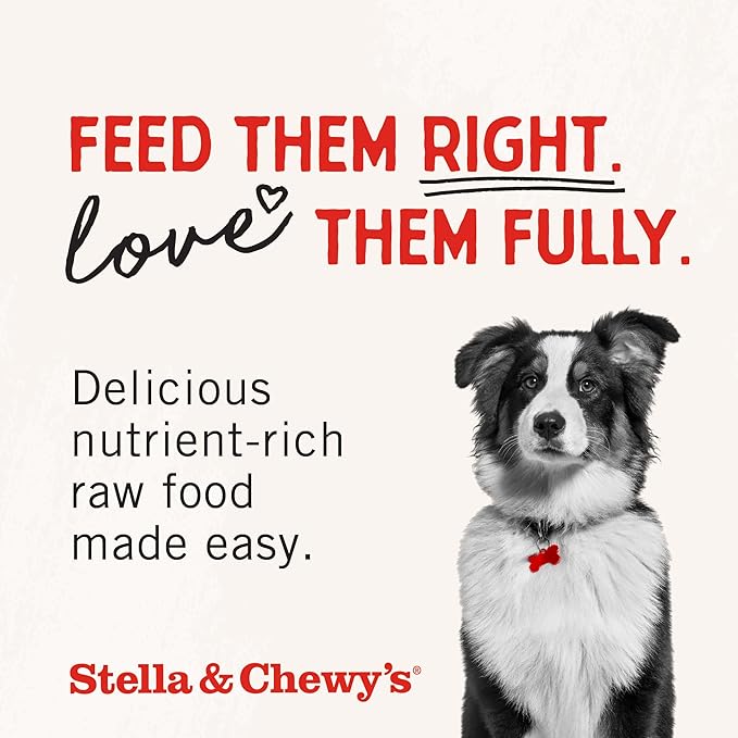 Stella & Chewy's Freeze-Dried Raw Tantalizing Turkey Meal Mixers- Dog Food Topper and Mixer - Made with 95% Cage-Free Turkey, Organs & Bone - Perfect for Picky Eaters - Grain-Free - 1 oz
