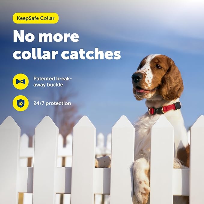 PetSafe KeepSafe Collar for Dogs - Protects Against Collar Accidents - Long Lasting - Durable - Adjustable - Breakaway - Outdoor-Safe - Small - 3/4 In. Wide - Red