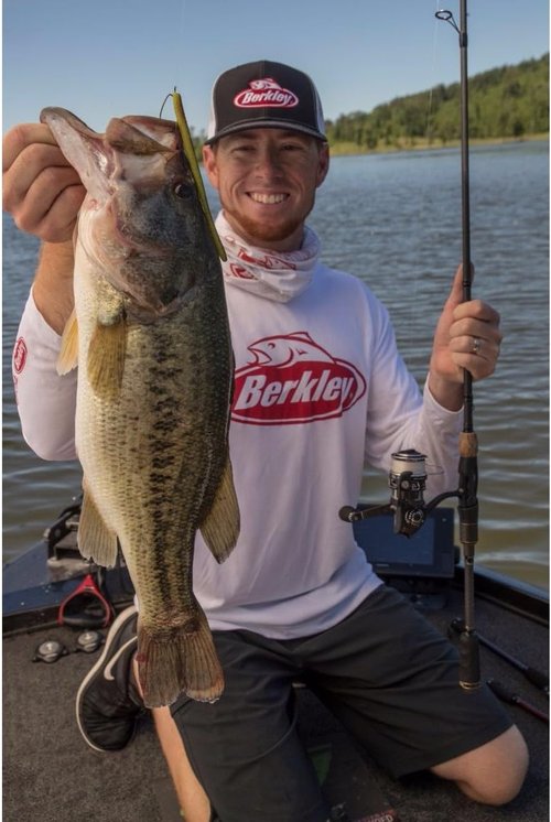 Berkley PowerBait MaxScent D-Worm | Premium Soft Plastic Fishing Lure | Versatile Color Options